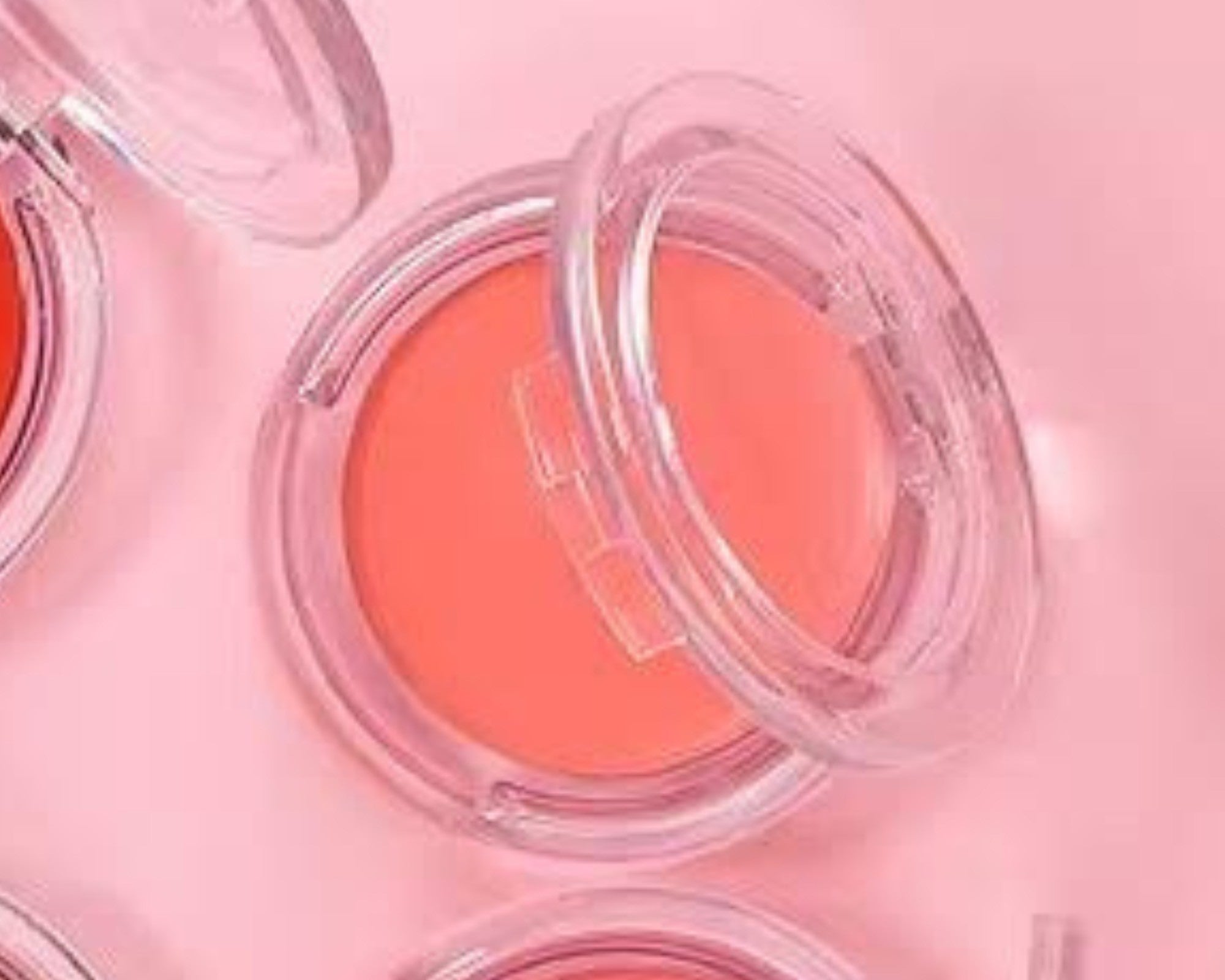 Blusher
