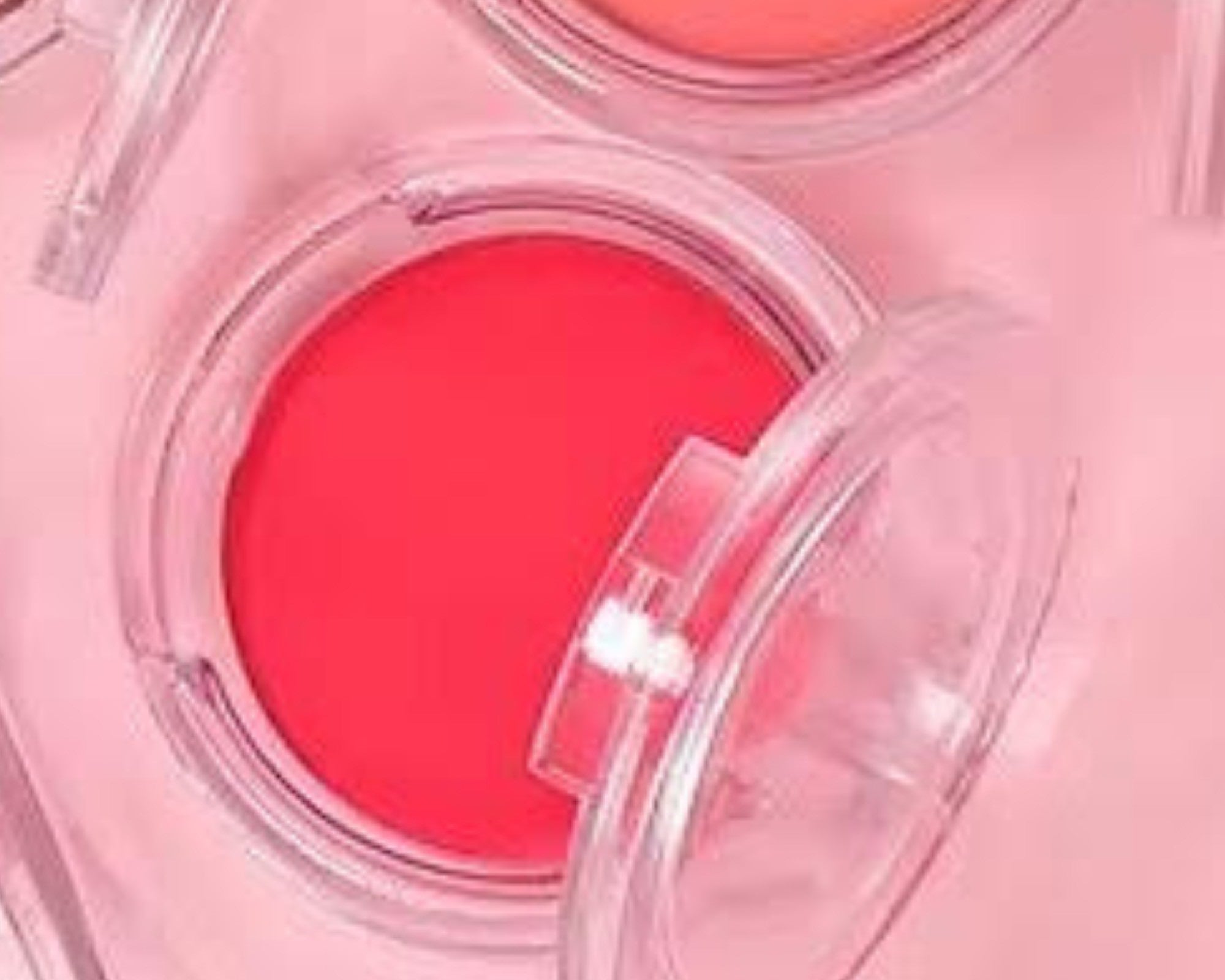 Blusher
